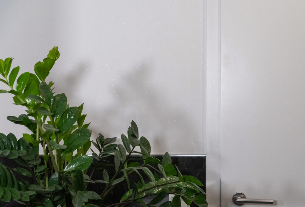 große Zimmerpflanze steht neben einer geschlossenen, weißen Tuer